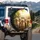 Joyous Golden Retrievers Paws Raised - Golden Hour Nature Dog Lover Gift Spare Tire Cover - 3