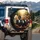 Cream, Black, Golden Poodles in Tuxedos Steering Wheel - Luxury Adventure Gift Spare Tire Cover - 3