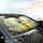 Fluffy Yellow Baby Chick Easter Egg Floral Meadow Scene - Spring Road Trip Car Accessory Car Sunshade - 6