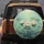 White Water Lilies Clear Water - Nature Lover Home Decor Gift Spare Tire Cover - 5