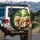 Golden-doodle Dogs Vehicle Interior Park Landscape - Pet Parent Road Trip Gift Spare Tire Cover - 3