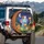 Elephant Bear Cat Giraffe Musical Forest Animals - Music Lover Gift Spare Tire Cover - 3