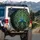 Majestic Peacocks Tail Feathers - Wildlife Lover Vehicle Accessory Spare Tire Cover - 3
