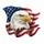Bald Eagle American Flag - Resolute Gaze Patriotic Gift for Veterans Spare Tire Cover - 6