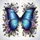 Blue Purple Morpho Butterfly Lavender Rose Crescent Moon - Wildlife Lover Gift Spare Tire Cover - 6
