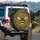 Black Gold Bumblebee Honeycomb Floral Insects - Wildlife Lover Gift Spare Tire Cover - 3