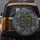 Layered Floral Glittering Gold Outline Butterflies Slate Blue - Everyday Style Gift Spare Tire Cover - 5