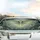 Luna Moth Night Garden Botanical Blossoms Intertwining Branches Car Interior Upgrade Car Sunshade - 5