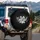 Grateful White Lily Flower Delicate Floral Scrollwork - Positive Lifestyle Gift Spare Tire Cover - 3