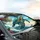 Faceted Gem Sea Turtle Tropical Beach Ocean - Road Trip Gift for Ocean Lover Car Sunshade - 6