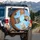 Curious Ginger Tabby Calico White Cats Blue Sky - Cat Lover Everyday Gift Spare Tire Cover - 3