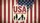 USA 250 YEARS STRONG Family American Flag - 250th Anniversary Road Trip Gift Car Sunshade - 7
