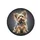 Fluffy Playful Sitting Yorkshire Terrier Dog with Expressive Bright Eyes - Dog Lover Gift Spare Tire Cover - 4