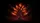 Burning Gnarled Tree Dark Smoke Embers Glowing Haze - Car Interior Upgrade Car Sunshade - 7