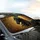 Majestic Black Horse Ornate Laurel Wreath Intricate Branches - Driving Commute Accessory Car Sunshade - 6