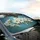 Large White Dogwood Blossoms Green Leaves Intertwined Branches - Car Interior Upgrade Car Sunshade - 6
