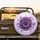 Vibrant Aster Flowers Water Droplets - Outdoor Enthusiast Gift Spare Tire Cover - 2