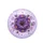 Vibrant Aster Flowers Water Droplets - Outdoor Enthusiast Gift Spare Tire Cover - 4