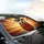 Dalmatian Dog Sunglasses Golden Hour Sunset - Road Trip Gift for Dog Lovers Car Sunshade - 6