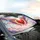 Glowing Red Heart Golden Filigree - Car Interior Upgrade Road Trip Gift Car Sunshade - 6