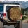 Glittering Leopard Print Travel Essentials - Fashionista Gift Spare Tire Cover - 3