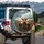 Shaggy Highland Cows Moorland Landscape - Farmhouse Decor Gift for Cow Lover Spare Tire Cover - 3