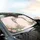 Grand Wedding Arch Rose Eucalyptus - Car Interior Upgrade Car Sunshade - 6