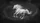 Majestic White Horse Rearing Dynamic - Car Interior Upgrade Travel Essentials Car Sunshade - 7