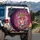 Jaguar Pink Bubblegum Sunglasses Plum Botanical - Wildlife Lover Gift Spare Tire Cover - 3