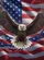 Bald Eagle American Flag - Independence Day Home Decor for Veterans Garden Flag - 6
