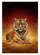 Regal Bengal Tiger Golden Terrain Crimson Sky - Wildlife Lover Home Decor Gift Garden Flag - 6