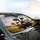 Surprised Farm Cows with Expressive Faces Rural Landscape - Road Trip Accessory for Cow Lover Car Sunshade - 6
