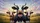 Surprised Farm Cows with Expressive Faces Rural Landscape - Road Trip Accessory for Cow Lover Car Sunshade - 7