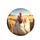 Fluffy White Hen Blonde Pigtails Red Comb Golden Wheat Field Farmhouse Decor Gift Spare Tire Cover - 4