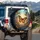 Amber Orange Monarch Butterflies Twilight Garden - Wildlife Lover Gift Spare Tire Cover - 3
