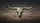 Longhorn Bull Skull Desert Landscape - Car Interior Upgrade for Western Style Lover Car Sunshade - 7