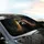 Raccoon Golden Light Forest Scene - Car Interior Upgrade Wildlife Lover Gift Car Sunshade - 6