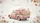 Vintage Pink Pickup Truck Rose Bouquet Happy Mother's Day Travel Essentials Car Sunshade - 7