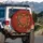 Abundant Orange Garden Roses Dark Green Leaves - Rich Red Floral Decor Gift Spare Tire Cover - 3