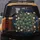Peacock Eye Feathers Golden Vines Magnolia Blossoms - Wildlife Lover Gift Spare Tire Cover - 5