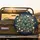 Peacock Eye Feathers Golden Vines Magnolia Blossoms - Wildlife Lover Gift Spare Tire Cover - 2