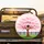 Pink Cherry Blossom Tree Garden Fence Lush Grass - Spring Home Decor Gift for Gardeners Spare Tire Cover - 2