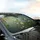 Heron Cream Blossoms Flowering Branches Red Fruit Leaves - Car Interior Upgrade Car Sunshade - 6