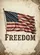 Distressed American Flag 'FREEDOM' Text - Independence Day Patriotic Home Decor Garden Flag - 6