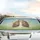 Flowering Lungs Botanical Garden - Road Trip Accessory Car Sunshade - 5