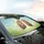 Flowering Lungs Botanical Garden - Road Trip Accessory Car Sunshade - 6