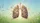 Flowering Lungs Botanical Garden - Road Trip Accessory Car Sunshade - 7