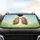 Flowering Lungs Botanical Garden - Road Trip Accessory Car Sunshade - 4