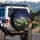 Dandelion Blossoms Seed Heads Firefly Glow Midnight Sky - Nature Lover Gift Spare Tire Cover - 3