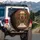 Ornate Moroccan Archway Riad Courtyard Lush Plants - Exotic Home Decor Gift Spare Tire Cover - 3